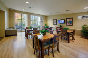 dining room with tables, chairs, plants, television, and seating areas